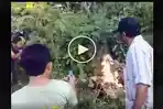 Video Maling Dibakar Hidup-hidup Bikin Gempar, Disebut Terjadi di Madura