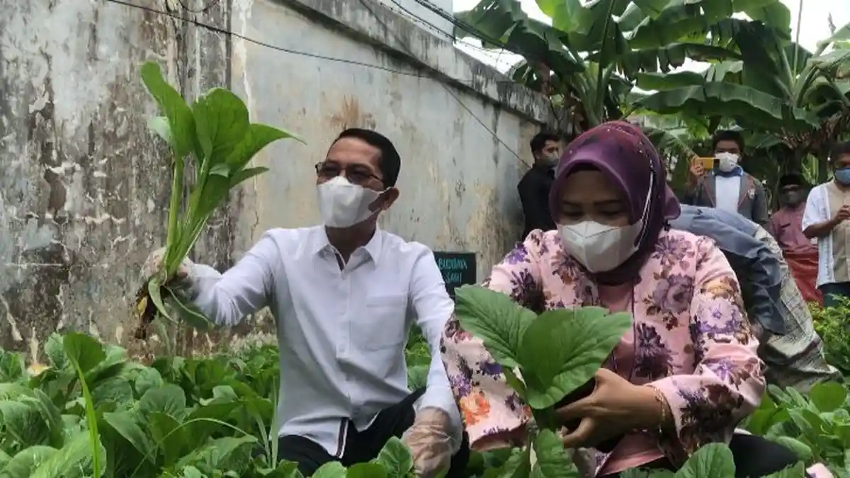 Wakil Walikota Batam Amsakar dan Istri Ikut Panen Raya Pertama SMPN 12 Batam