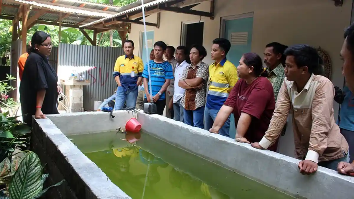 BSI Dukung Budidaya Lobster Air Tawar
