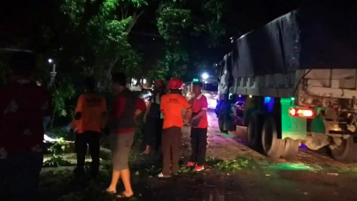 Pohon Besar Tumbang dan Timpa Dua Orang di Bojonegoro, Jalan Sekitar Lokasi Macet dari Dua Arah