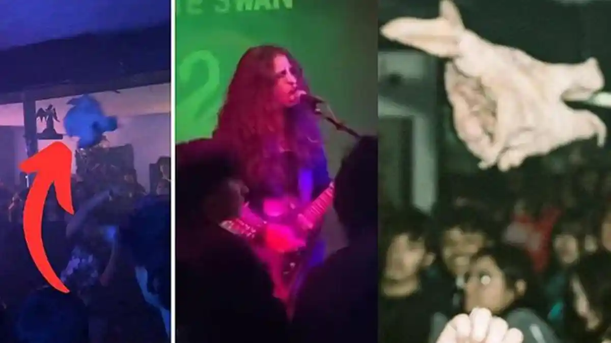 Band Metal Lempar Kepala Babi ke Penonton, Aksinya Tuai Kecaman Fans: Ini Kejutan!