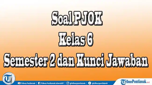 Tribun