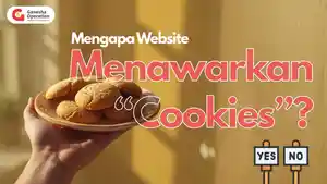 COOKIES-DI-INTERNET.jpg