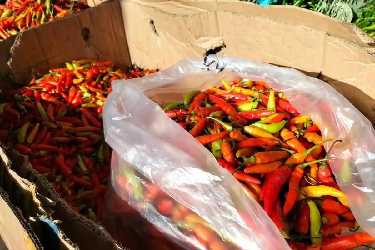 Harga Cabai, Bawang dan Ayam di Kota Jambi Sabtu (13/8/2022), Cabai Turun menjadi Rp 55 Ribu per Kg