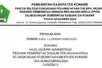 hasil-seleksi-administrasi-PPPK-tahap-2-tahun-2024-di-Konawe.jpg