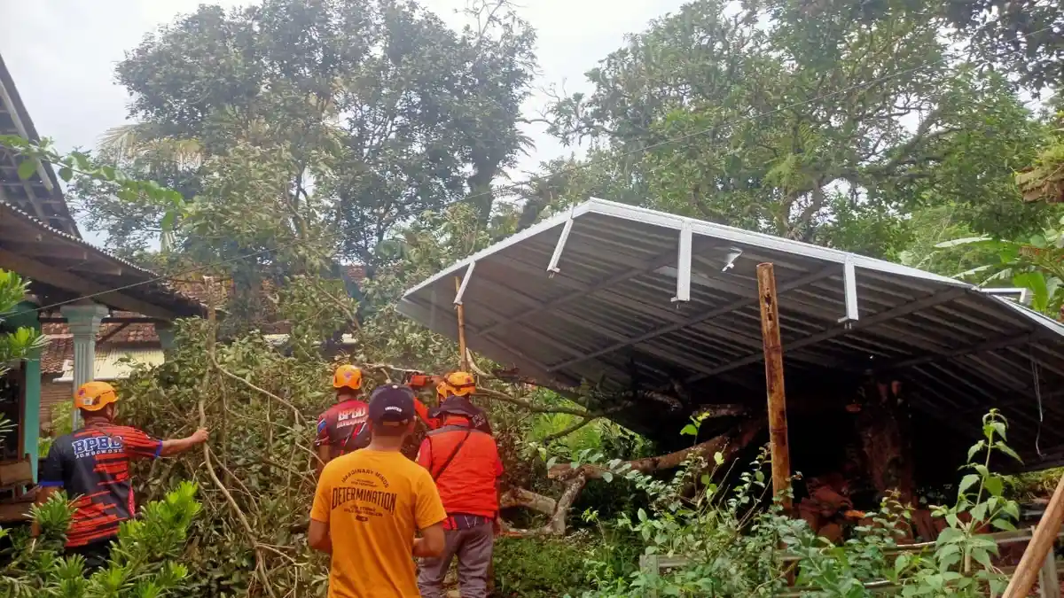 Bondowoso Dilanda Angin Kencang 3 Hari Berturut-turut, di Kecamatan Binakal 5 Rumah & 1 Musala Rusak