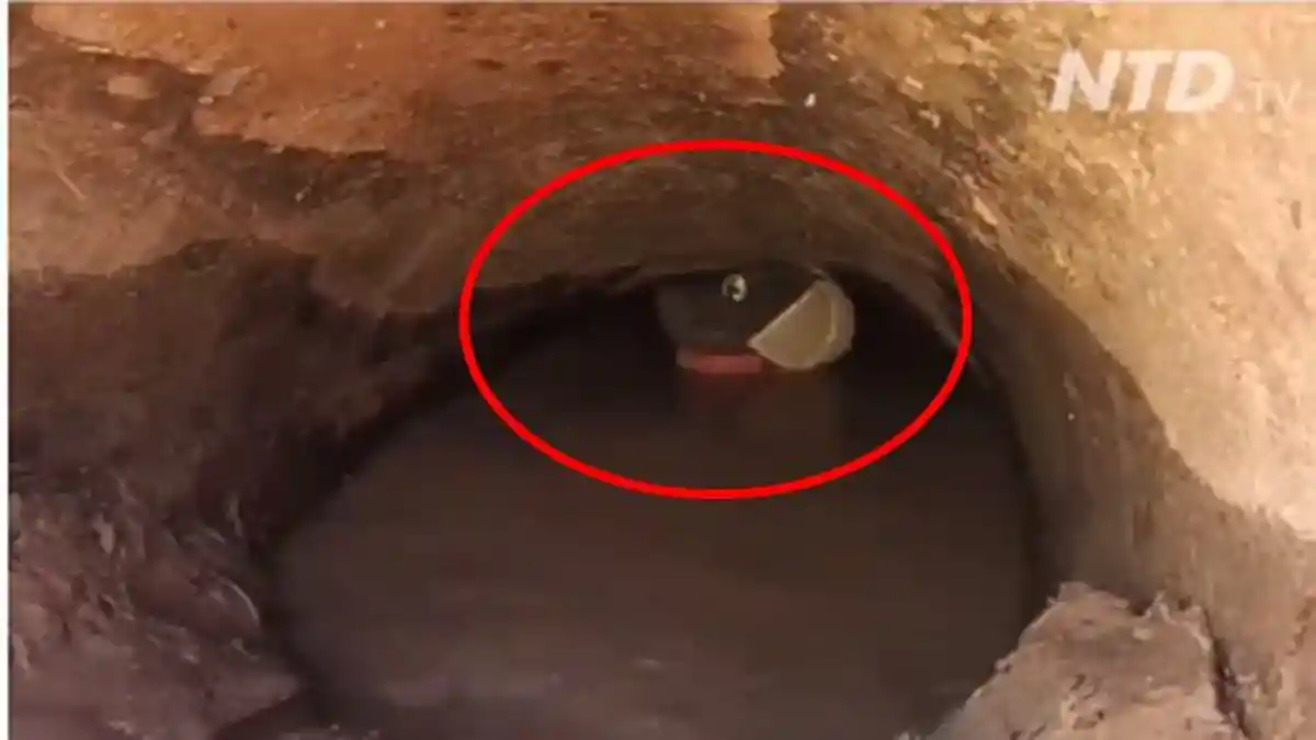 Curiga Ada Lubang Besar di Air Sungai, Pria Ini Masuk, Ternyata di Dalamnya Bikin Melongo