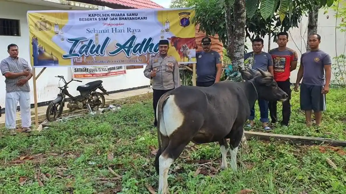 Polres Paser dan Polsek Jajaran Kurbankan 14 Sapi dan 10 Kambing di Hari Raya Idul Adha 1443 H