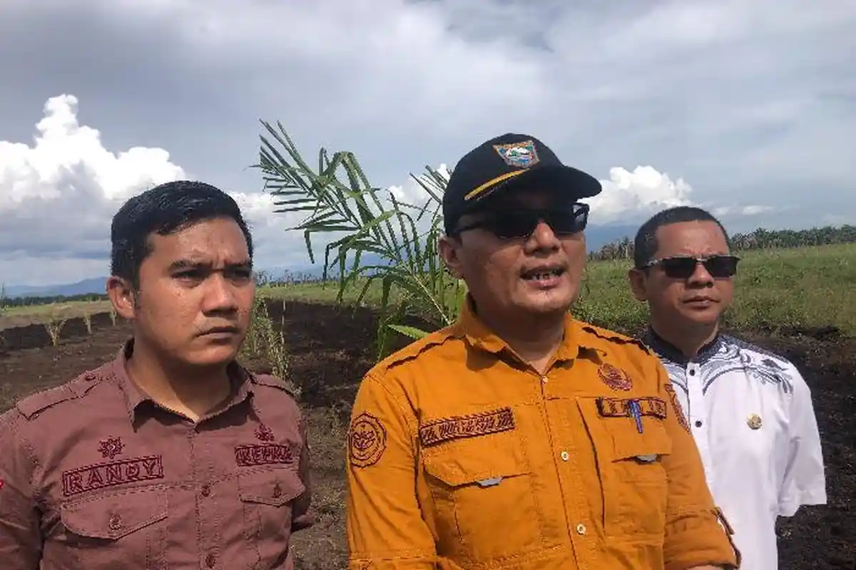 Dinas Tanaman Pangan dan Holtikultura Pasaman Barat Upayakan Stabilitas Harga Jagung