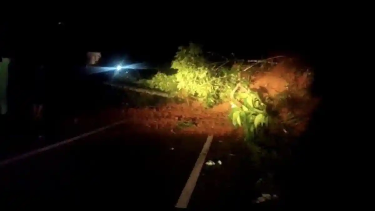 Akses Jalan di Perbatasan Tana Toraja-Toraja Utara Sulsel Tertutup Longsor