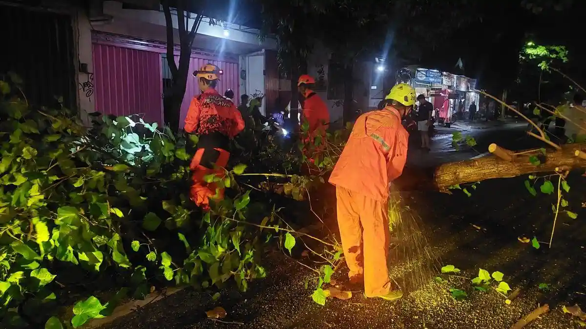2 Pemotor Tertimpa Pohon yang Tumbang Setelah Tersangkut Truk Kontainer
