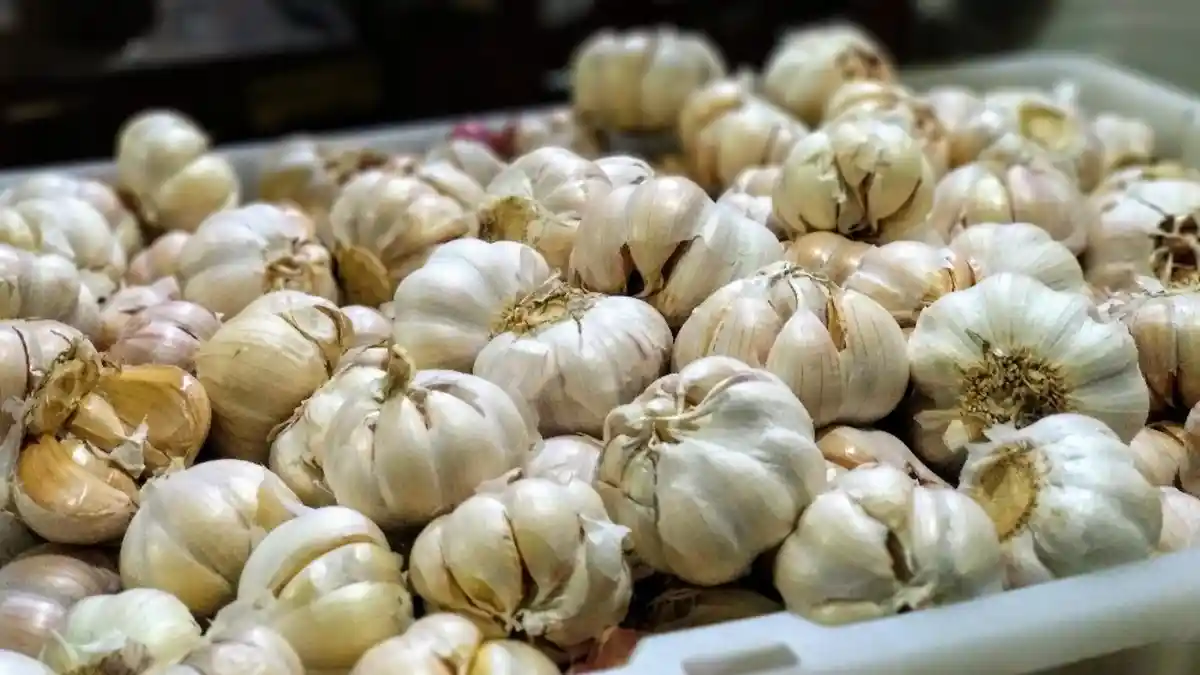 UPDATE Harga Bawang Merah - Bawang Putih - Minyak Goreng di DIY per Sabtu 8 Juni 2024