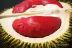 durian-merah.jpg