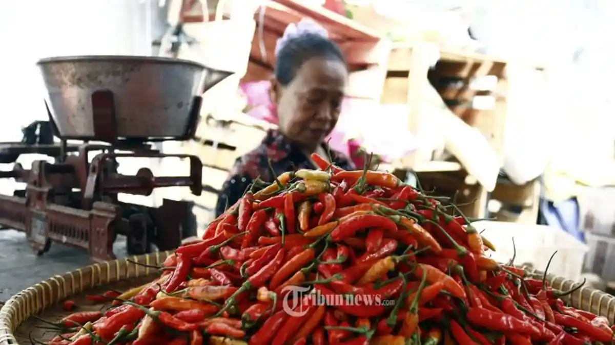Harga Cabai Rawit Merah Tembus Rp 65.800 per Kilogram Imbas Naiknya Harga BBM