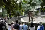 Libur Idul Fitri di Taman Margasatwa Ragunan