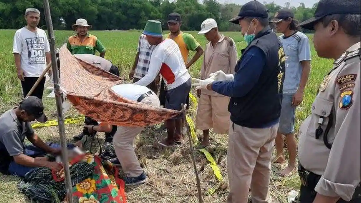 Petani di Madiun Ditemukan Tak Bernyawa di Tegalan Sawah, Sudah Dirubung Semut