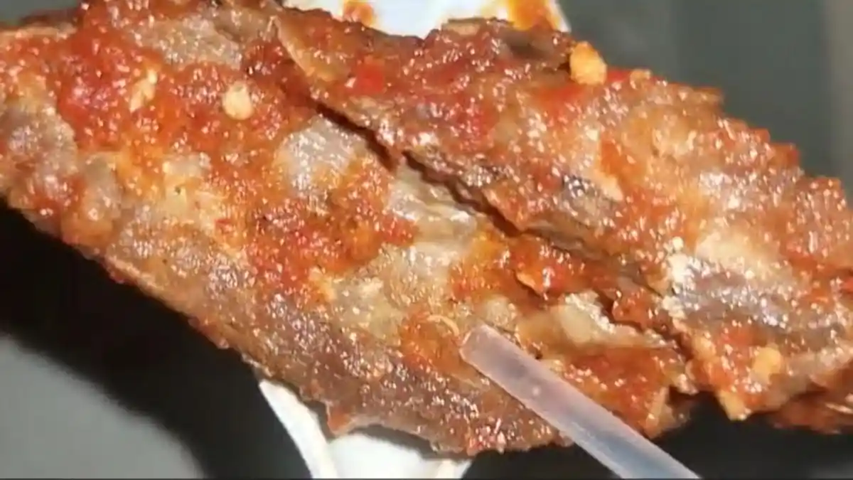 Heboh Temuan Belatung di Ikan Menu Makanan Atlet PORA Pidie 2022, Anggota DPRA Meradang