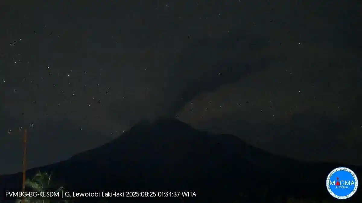 Status Siaga, Gunung Lewotobi Laki-laki Erupsi Senin Dini Hari dengan Kolom Abu 1,2 Kilometer