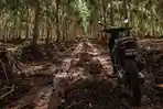 curaamor-kebun-karet-jalan-rusak.jpg