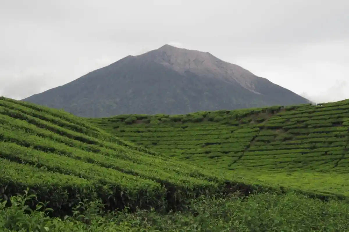 Saat Ini Jefri Dirawat di Puskesmas Kersik Tuo
