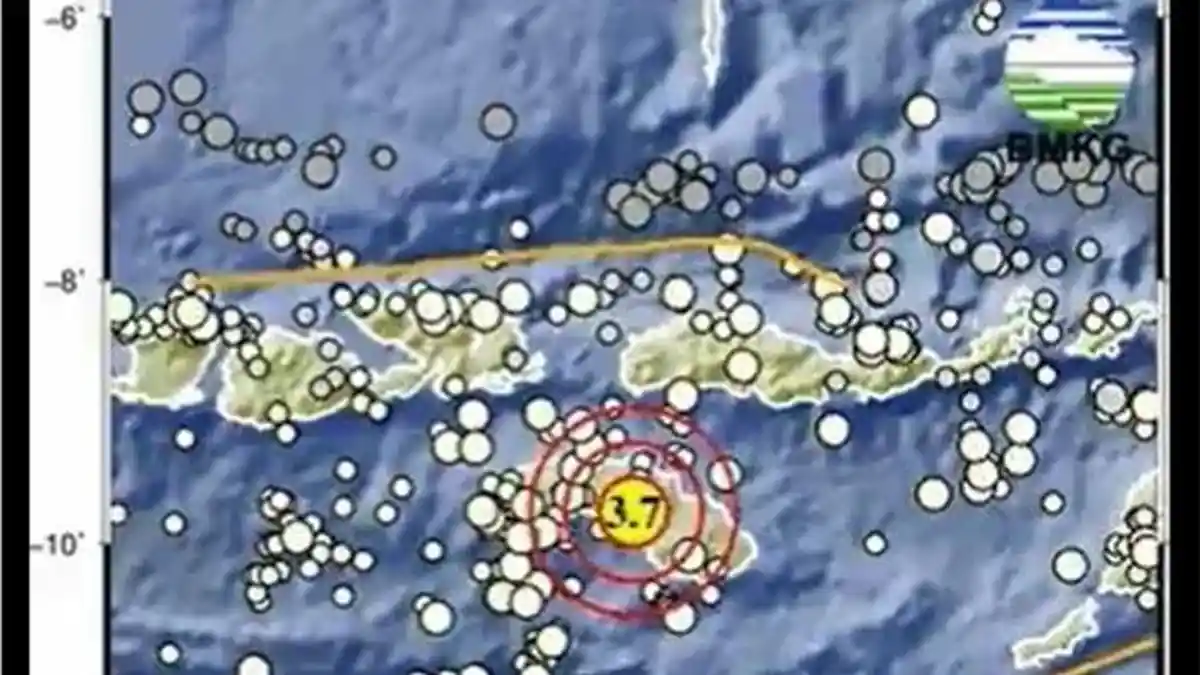 Gempa Bumi Sore Ini, Jumat 12 Juli 2024, Info BMKG Magnitudo 3.7, Disini Lokasinya