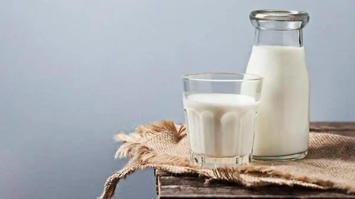 Catat! Masa Simpan Susu hingga Cara Menyimpan Susu yang Sudah Dibuka Agar Lebih Awet