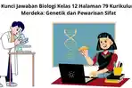 Kunci-Jawaban-Biologi-Kelas-12-Halaman-79-Kurikulum-Merdeka-Genetik-dan-Pewarisan-Sifat.jpg