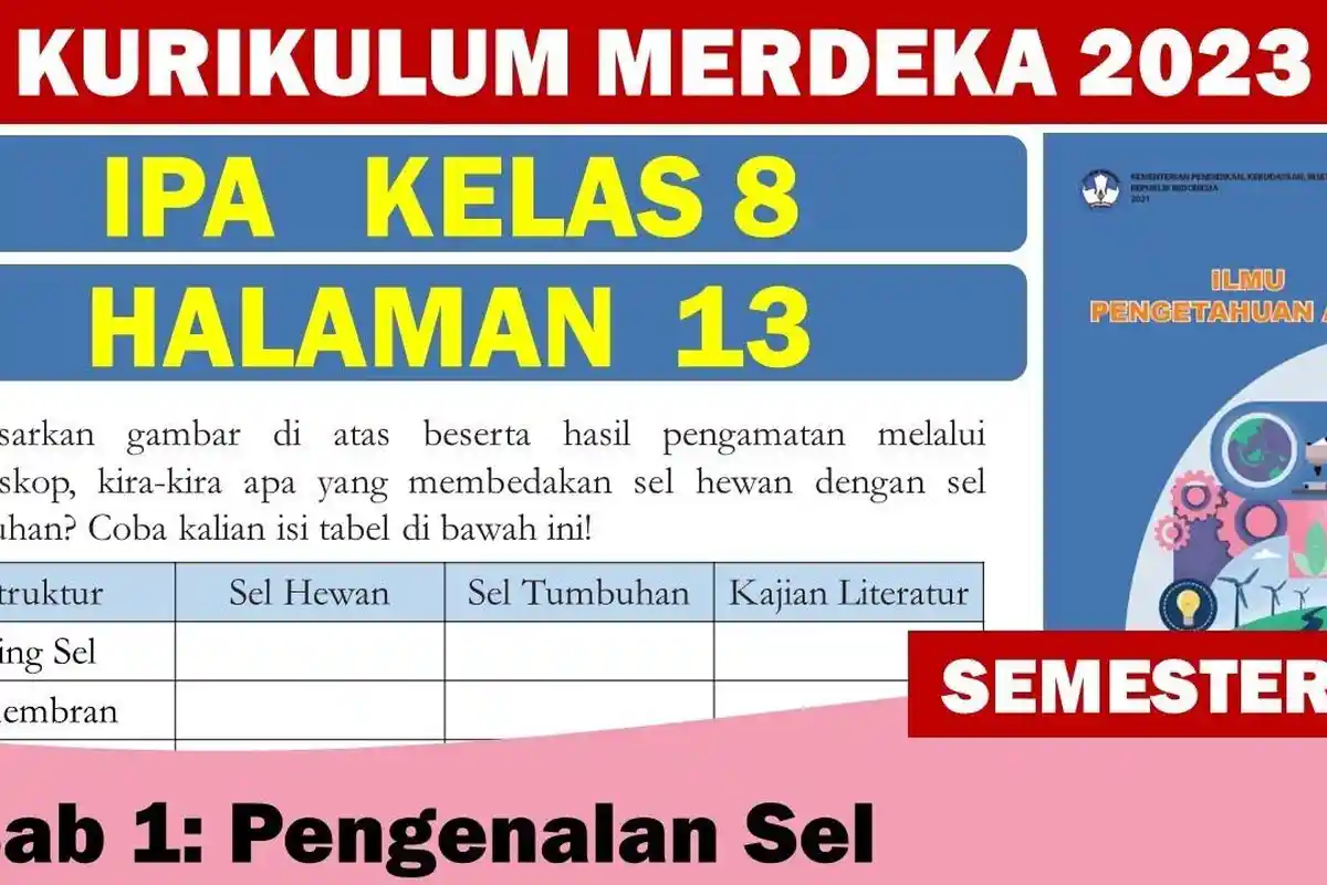Jawaban IPA Kelas 8 Halaman 13 Kurikulum Merdeka, Apa yang Membedakan Sel Hewan dengan Sel Tumbuhan?