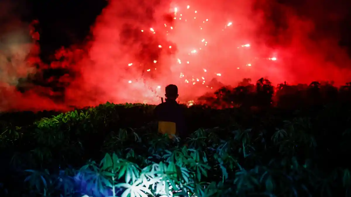 FOTO - Menghalau Kawanan Gajah Liar Yang Masuk ke Kebun Warga Pada Malam Hari - menembak-mercon-atau-petasan-untuk-menghalau-gajah-1.jpg