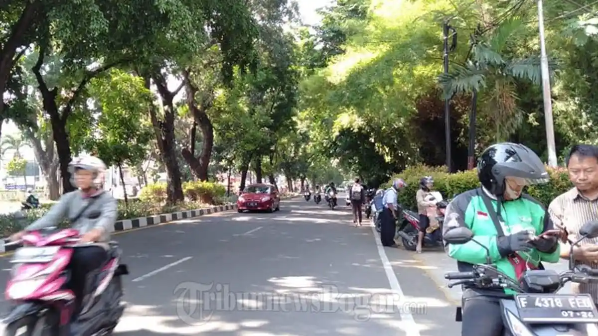 Lalu Lintas Jalan Pajajaran Pagi Ini Terpantau Lancar di Kedua Arah