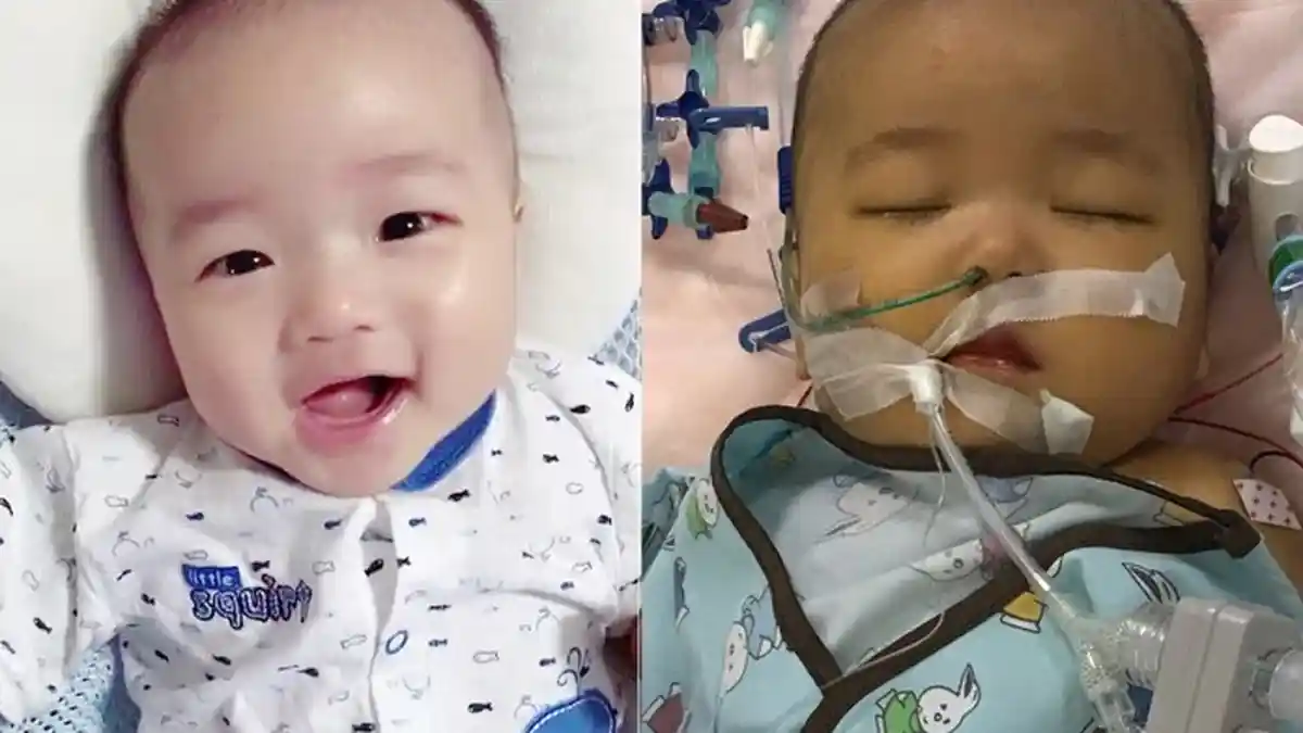 Demi Selamatkan Nyawa Bayi 6 Bulan, Wanita Ini Rela Sumbangkan Hatinya