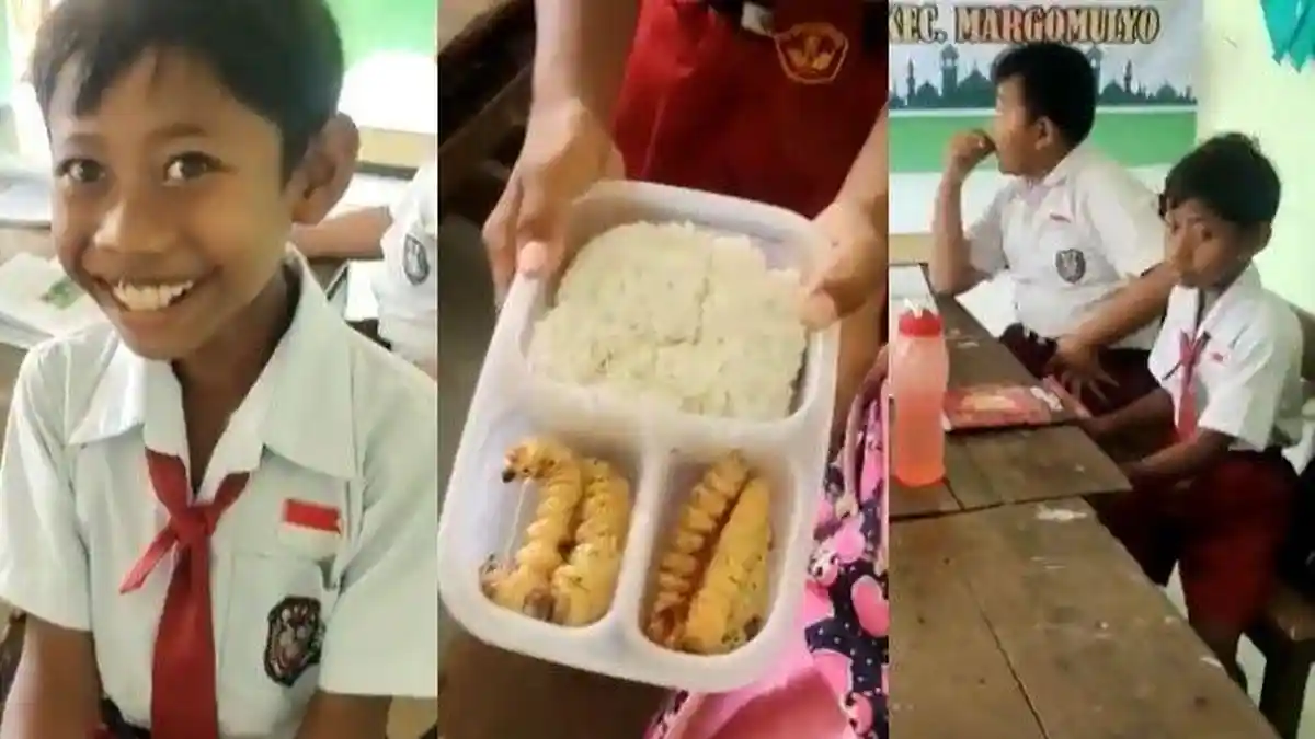 Bocah SD Bawa Bekal Ulat Sagu ke Sekolah, Gurunya Mengira Ular