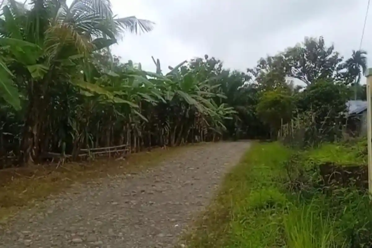 15 Orang Diperiksa Termasuk PUPR dan Kontraktor Terkait Dugaan Korupsi 3 Paket Jalan di Mukomuko