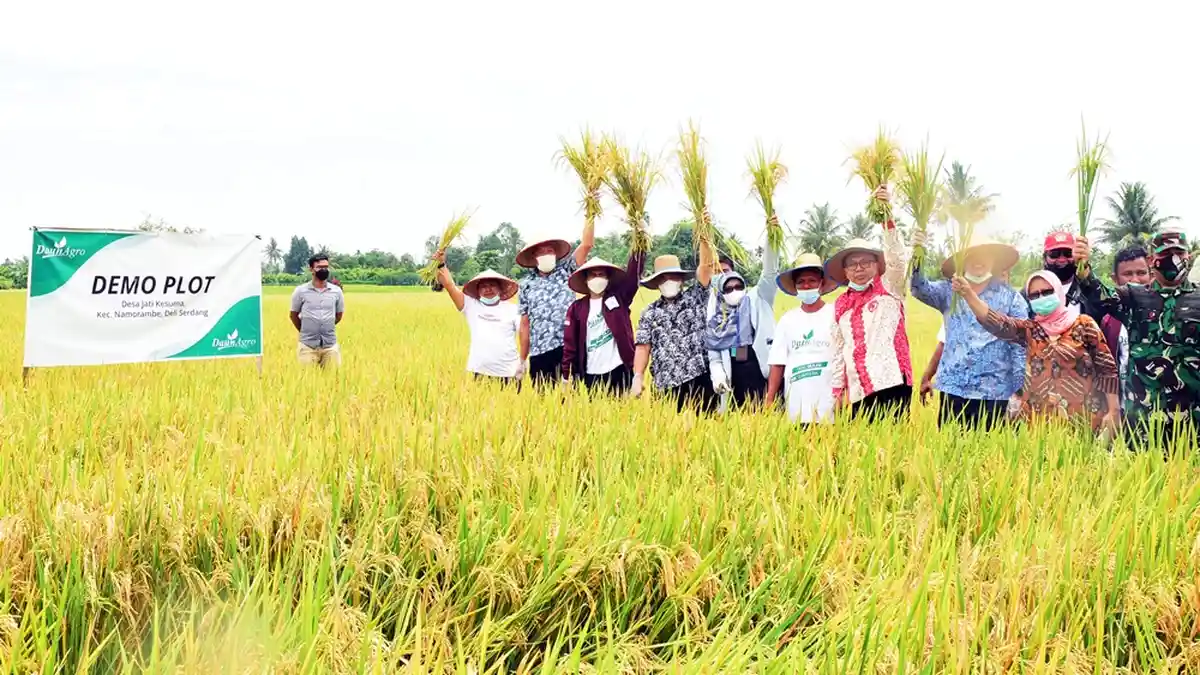 PT Daun Argo Ingin Lahirkan Petani Milenial, Begini Respons Wabup Deli Serdang