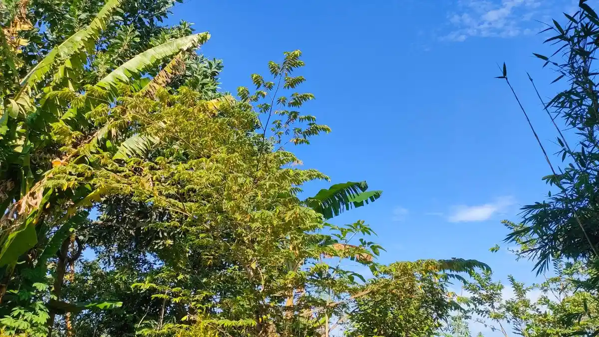 Cuaca Bontang Hari Ini, Kota Taman Sepanjang Hari akan Cerah Panas