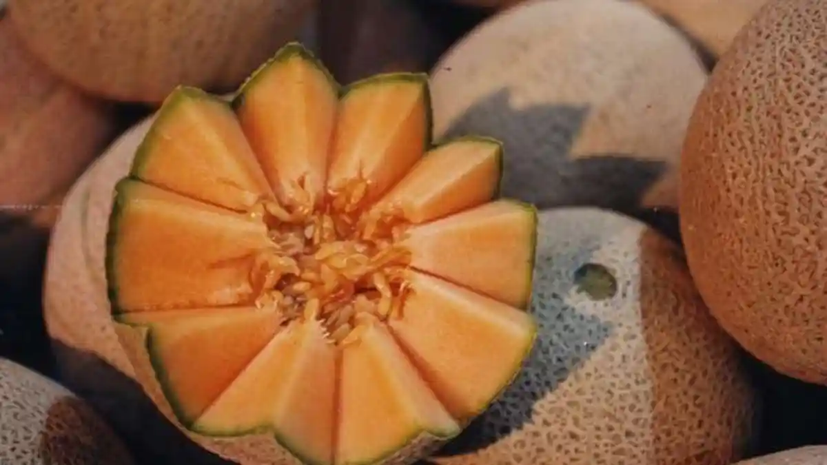 5 Manfaat Buah Melon untuk Kesehatan Tubuh, Apa Saja Itu ?