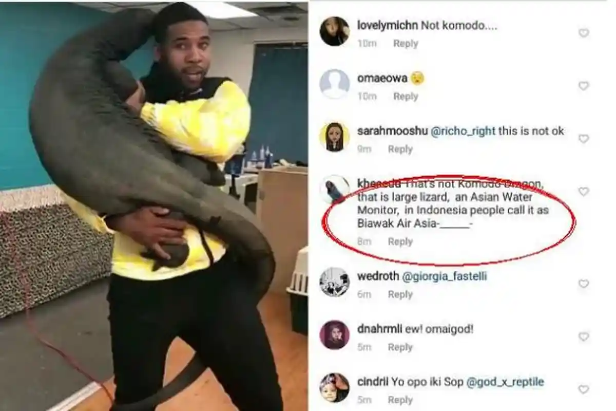 Komodo Atau Biawak? Netizen Indonesia Protes 9Gag Gara-gara Postingan 