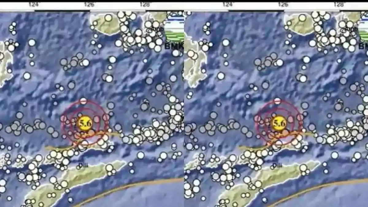 Gempa Magnitudo 5,6 Guncang Alor NTT, BMKG: tak Berpotensi Tsunami - Tribunkaltim.co