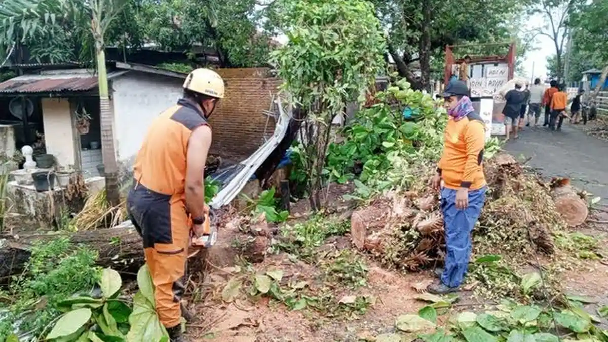 6 Rumah Warga Rusak Parah Diterjang Angin Kencang di Maros