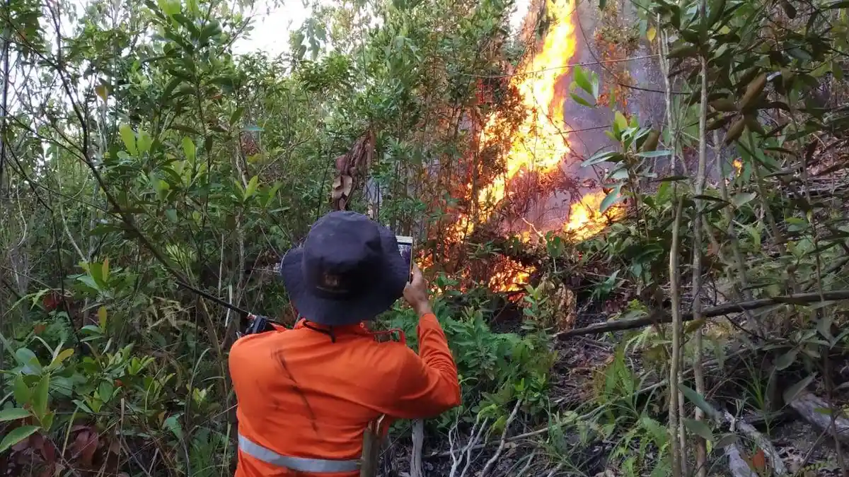 Kebakaran Hutan di Batam Semakin Banyak, Ini Pesan Kepala Dinas Pemadam Kebakaran Batam