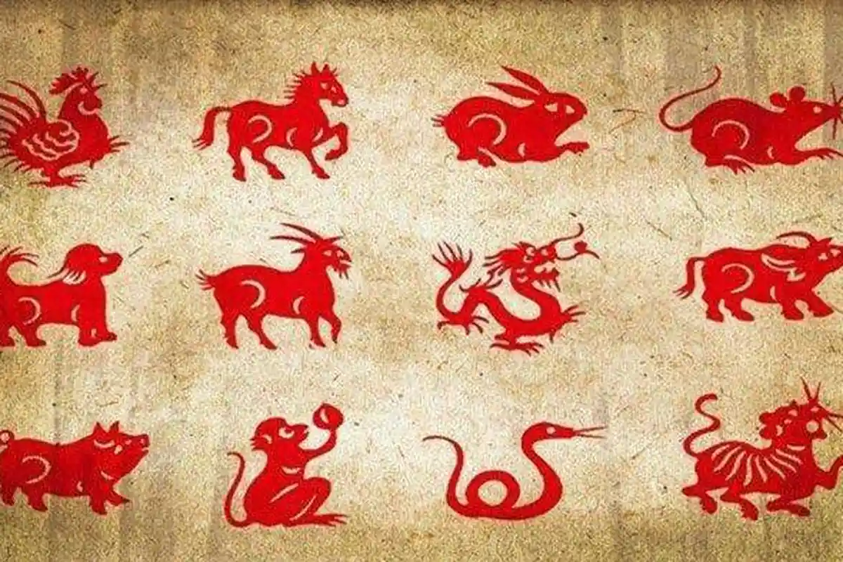 Shio Lusa Kamis 1 Desember 2022, Shio Macan Contoh Perdamaian Dengarkan Sisi Intuitifmu Shio Kambing