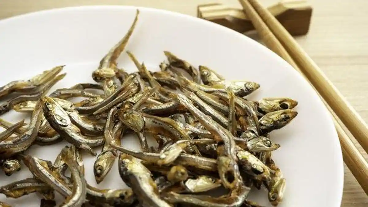 Ini Manfaat Luar Biasa Ikan Teri untuk Kesehatan, Simak di Sini Anda Perlu Tahu