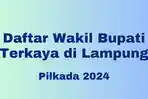 Daftar-Nama-Wakil-Bupati-Terkaya-di-Lampung-Pemenang-Pilkada-2024.jpg