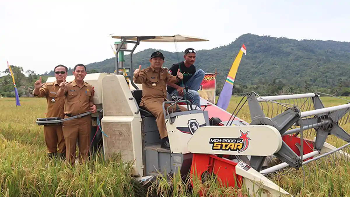 Panen Raya di Menjalin Pj Bupati Landak Apresiasi Pertanian yang Modern