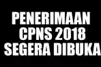 penerimaan-cpns-2018_20171111_145351.jpg
