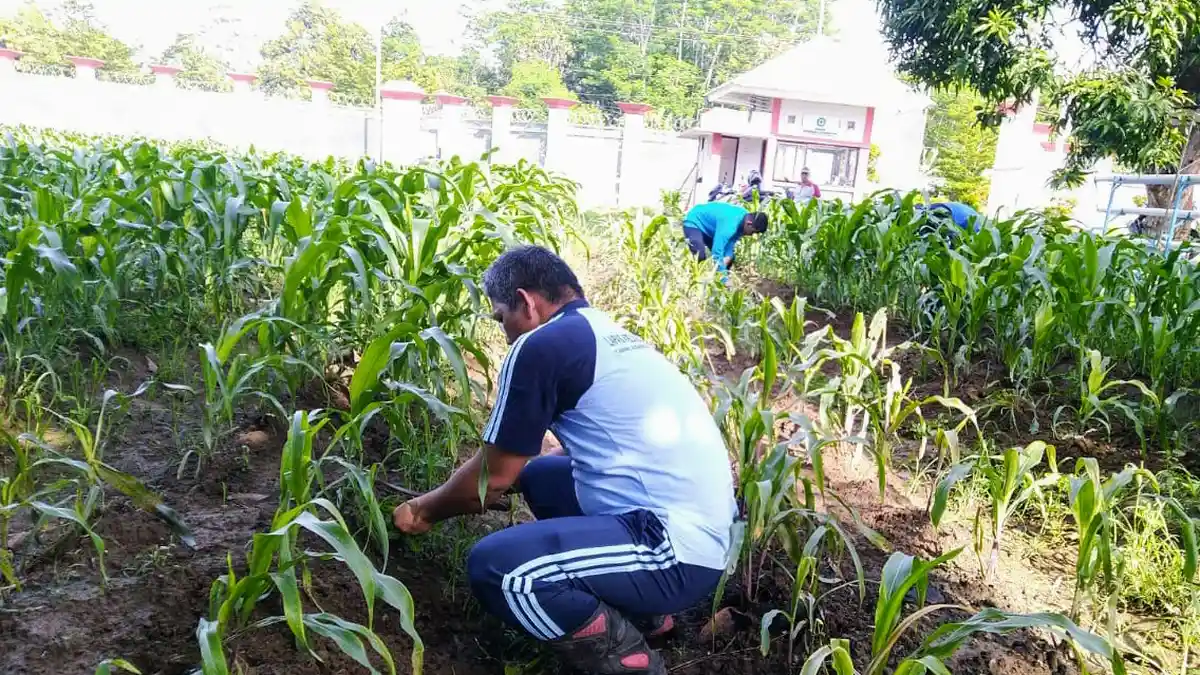 Ini yang Dilakukan Kepala dan Petugas Lapas Terbuka Kendal Setelah Ditinggal Napi Pulang ke Rumah