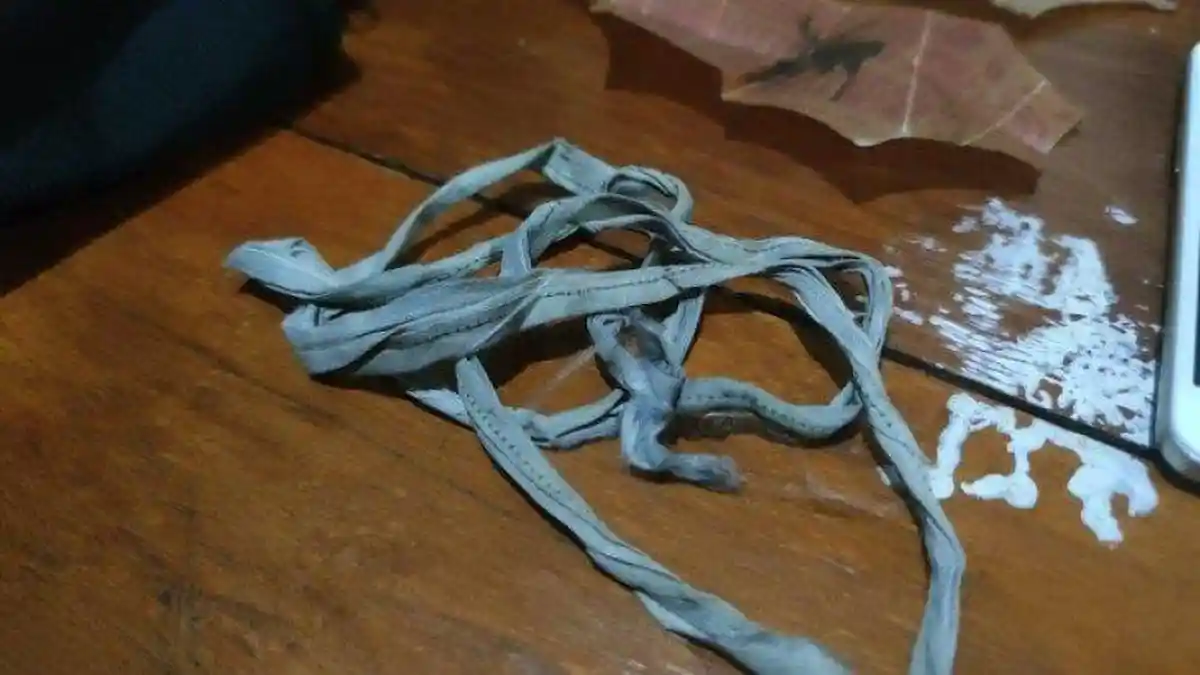 Makam Wanita Dibongkar OTK Siang Bolong, Jenazah Utuh, Tali Pocong Hilang