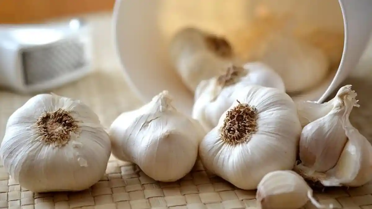 11 Penyakit Ini Bisa Disembuhkan dengan Bawang Putih, Diabetes hingga Kolesterol