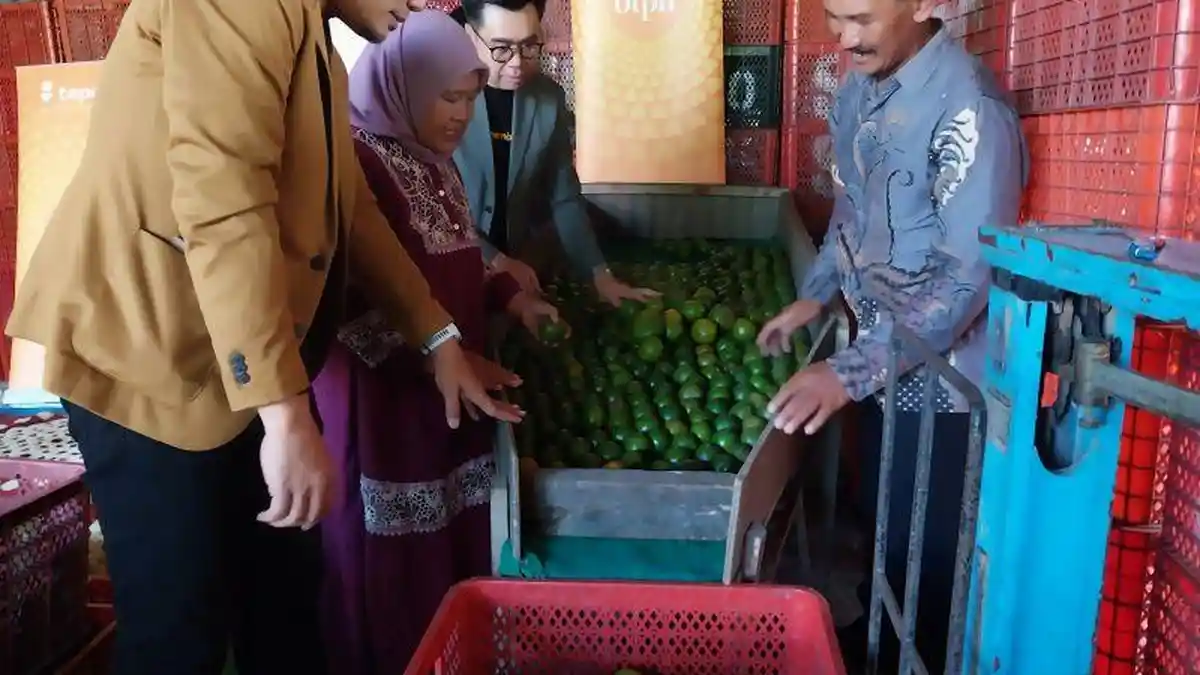 Modal Rp3 Juta, Seger Sang Sopir Banting Setir Jadi Juragan Buah, Sebulan Bisa Raup Rp160 Juta