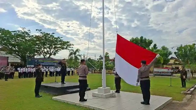 Tribun